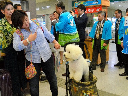 「機内でも静かだったわん」　全日空初のチャーター便