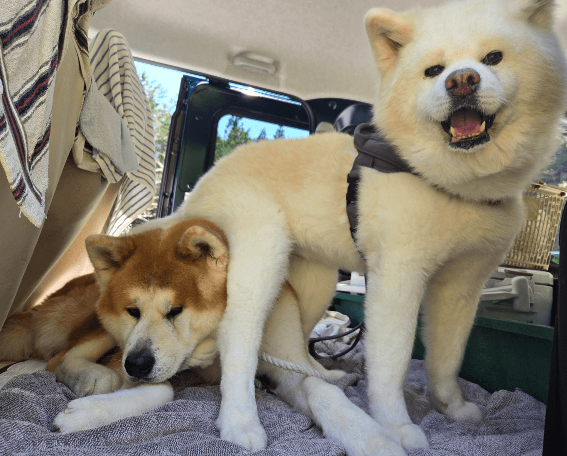 2匹の絆は、これからも続くだろう（飼い主さん提供）