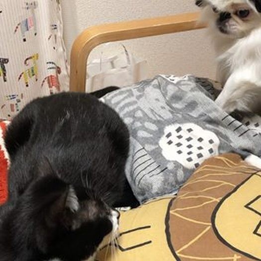 付かず離れず、ほどよい距離感