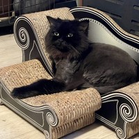 おしゃべりなクルルちゃん