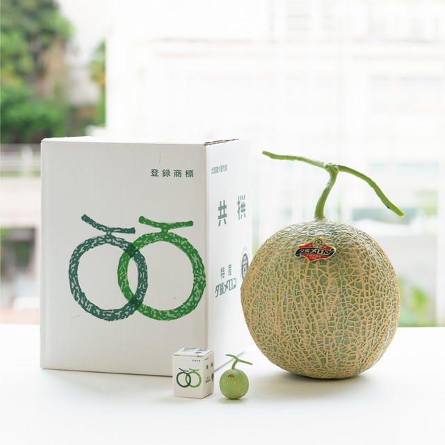 「夕張メロン」実物と比べてもそっくり（トーシン提供）