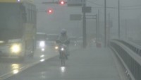 三豊市豊中町本山　午前8時半ごろ