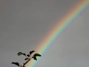 私が雨を好きになった理由。雨の匂いで思い出すあなたは元気ですか？