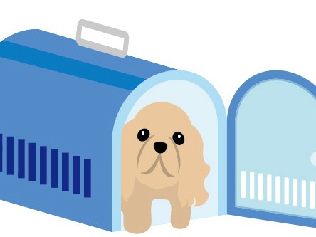 「ペット同行避難者の受け入れを」 防災計画で宮城県