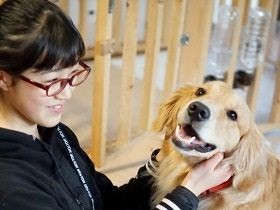 ガリガリだった大型犬、救出され、幸せな家に　少女とともに成長