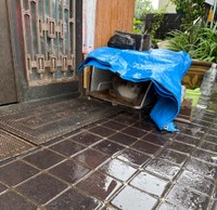 自宅前に雨が避けられる簡易な「猫ハウス」的なものはあるが…（れんげさん提供）