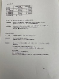 実際のお小遣い明細書　（レオンハルトさん提供）