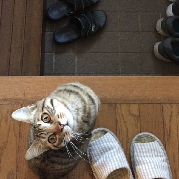 名前を呼んで初めて振り向いた葉月くん（画像提供：さくらさん）