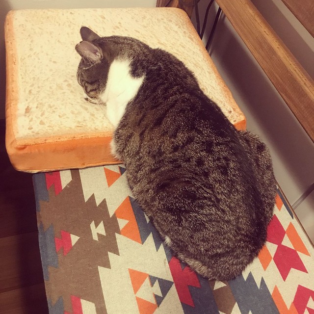 食パンの枕・・・いいにおい？