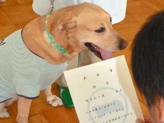 ラブラドルが市企画広報課勤務　保育所でセラピー