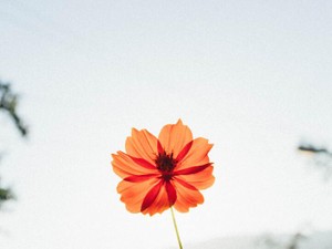 「生理来るとテンション上がる」。友人の言葉が生理に悩む私を変えた