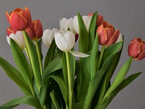 「好き」の2文字を伝えるだけなのに、私は何度悩んだだろう