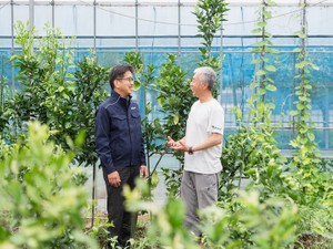 SDGsの始まりは一冊の絵本　規格外レモンを輝かせた菓子材料問屋