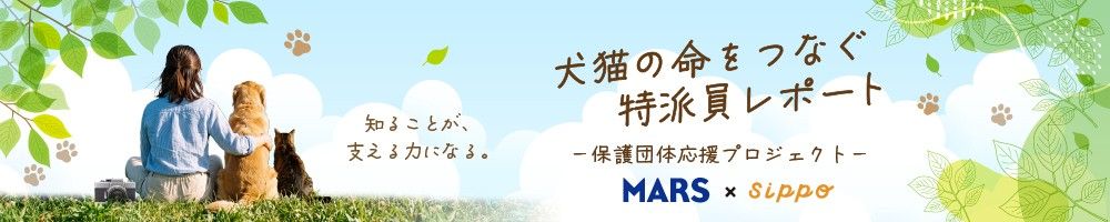 MARS×sippo　命をつなぐ特派員レポート
