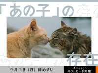 【アマギフ対象】「『あの子』の存在」でエッセイ募集！9月1日（日）締切