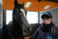 馬には、人を集め、働かせ、土地の歴史を引き受けながら町のかたちそのものを変えていく力がある=2026年2月19日、北海道浦河町、高久潤撮影