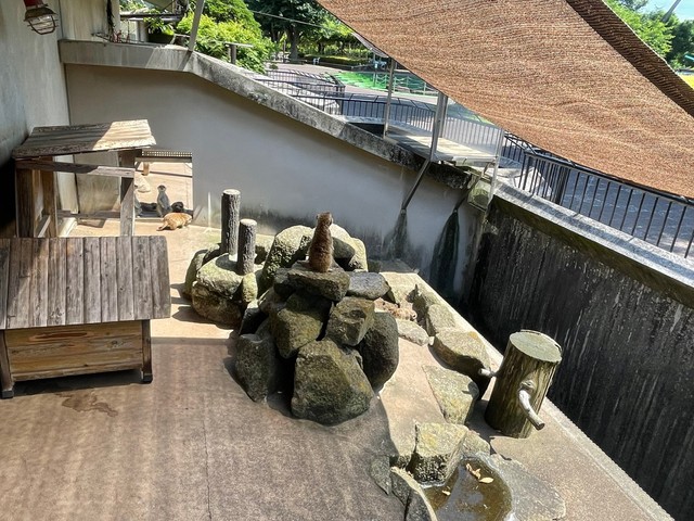 5月の末には日よけをかけてもらいました　提供：市川市動植物園
