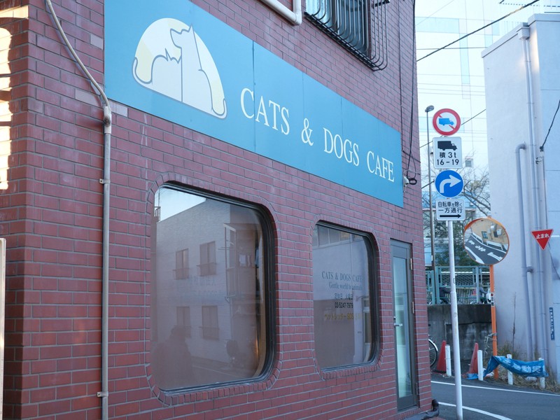 命と向き合い、ＴＮＲできない猫を保護　下町の保護猫カフェ