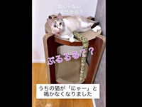 「ぷるる」と鳴くようになったおくらちゃん（画像提供：soranohiさん）