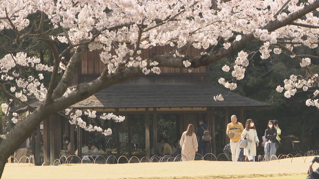 岡山後楽園をおさえて1位になったのは 岡山県の イチオシの桜スポット を聞いてみた Ksbニュース Ksb瀬戸内海放送