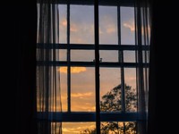 上京の日、空港で渡された一枚の紙に詰まっていたのは母の愛そのもの