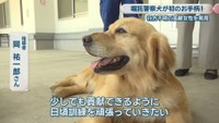 女性を発見した嘱託警察犬／ルイくん（5歳）