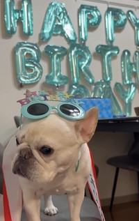 愛情をたっぷり受けて…お誕生日おめでとう！（提供：＠burufamiさん）
