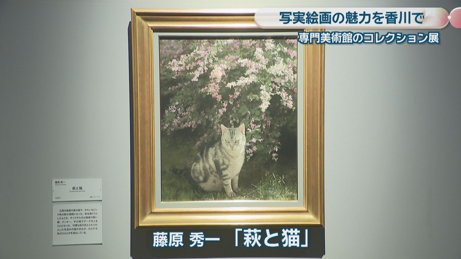 写実絵画の殿堂「ホキ美術館」の所蔵品が香川に 県立ミュージアムで