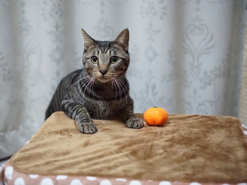 「上もあったかいよ」