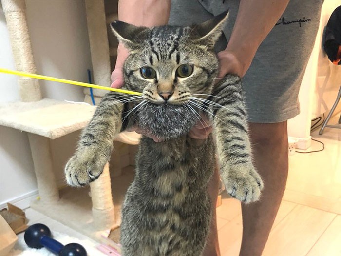 とらくんを抱っこ