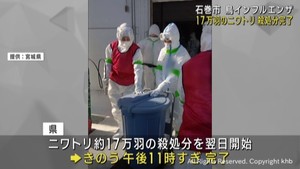 宮城・石巻市で確認の鳥インフルエンザ　約１７万羽の殺処分が完了