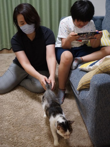 ２人家族から３人家族に。皆で居間にいる時間が増えたそう