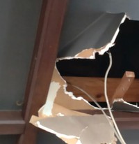 リンビングの天井から、こんなものが降ってきたら、驚きますよね！（画像提供：Aさん）