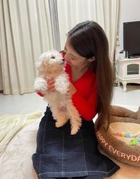 家族になったビションフリーゼの「シロ」君（提供）