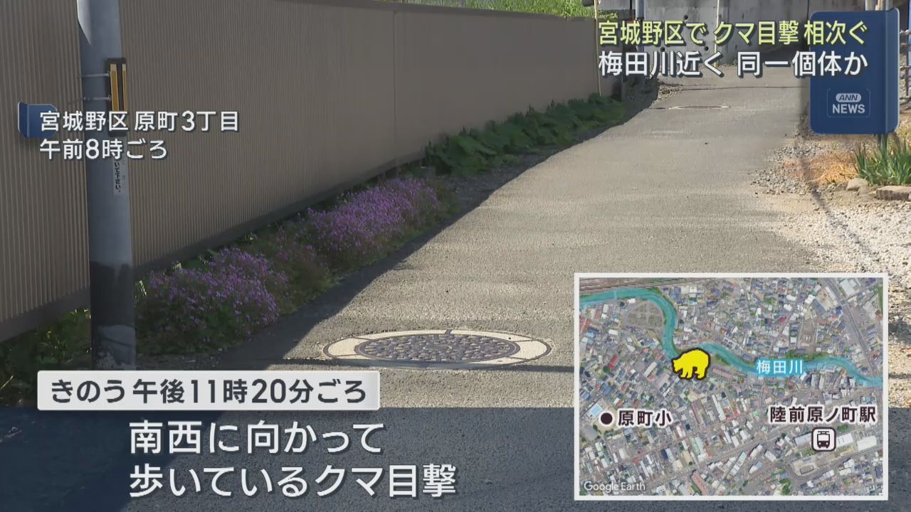 クマの目撃が相次ぐ　仙台市の宮城野区と青葉区
