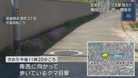 クマの目撃が相次ぐ　仙台市の宮城野区と青葉区