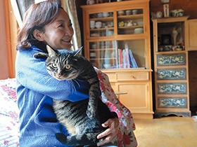 猫も犬も馬も人も　自然豊かな北海道の大地で、種を超えて共につむぐ命の物語