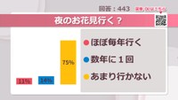 夜のお花見行く？【みんなに聞いてみた】