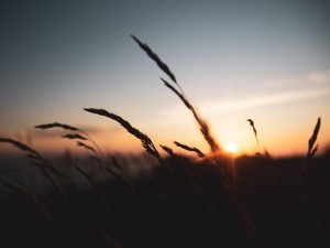 障害者という壁を作り、誰よりも逃げていたのは障害のある私だった