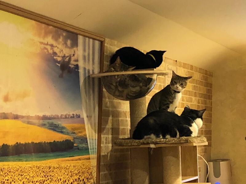 ほのぼのした雰囲気のスペース