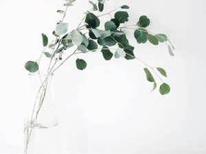 私は私が大好き。でも男からすると、私は女らしくない変な人らしい