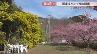 タケサン農園　香川・小豆島町