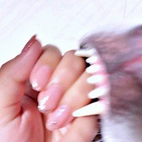 ネイルを撮っていたら、おとびくんがじゃれて「ガオー！」（画像提供：おとび シベリアンハスキー（カイヌシ：ナルコ）さん）