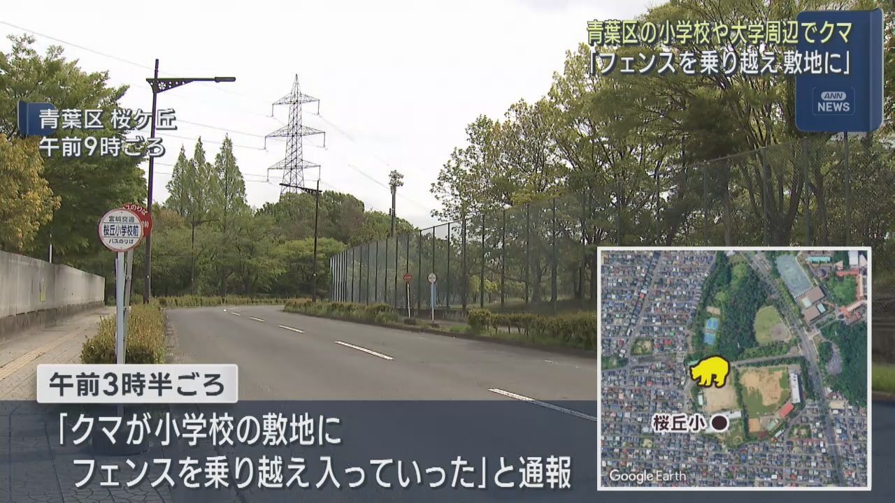 小学校や大学の周辺でクマ目撃が相次ぐ　仙台・青葉区