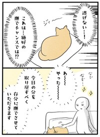 【漫画】『ネコと暮らした9日間』38（イゴカオリさん提供）