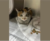 Northwoods Humane SocietyのFacebookより