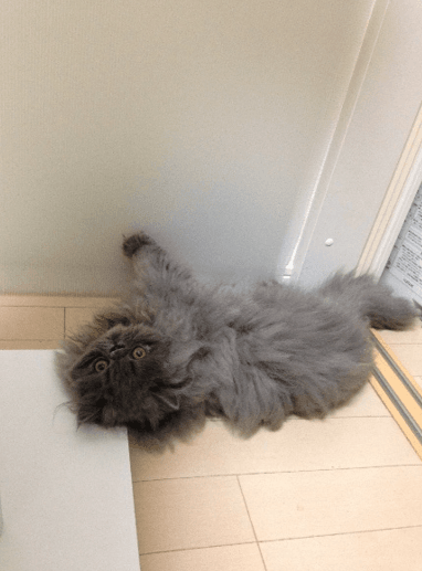 短かったが、一緒に過ごせた2カ月は幸せいっぱいだった