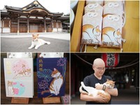 瑜伽大殿（本堂）の前でたたずむふーちゃん（左上）、人気のふーちゃんお守り（右上）、納経帳も（左下）、佐伯さんに抱っこされて（右下）