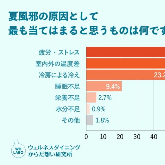 夏風邪の原因として最も当てはまると思うものは何ですか？（出典：ウェルネスダイニング株式会社）