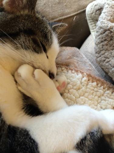 今日もちゅうちゅう